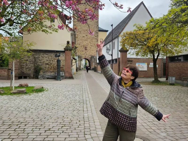 Tour des cerisiers en fleurs de Karlsruhe et Durlach