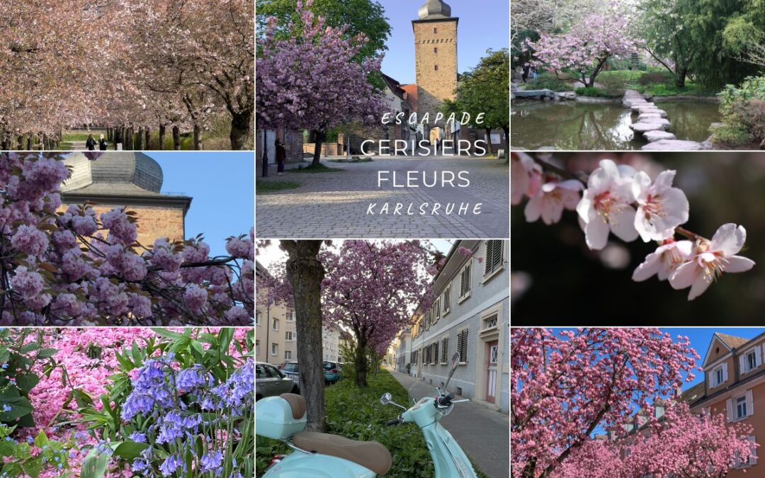 Les cerisiers de Karlsruhe, ma carte personnelle