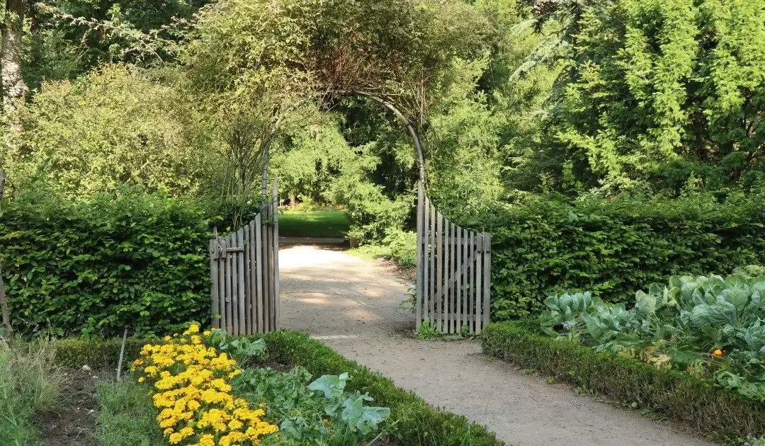 Sortir de chez soi : un jardin par semaine pendant 1 an