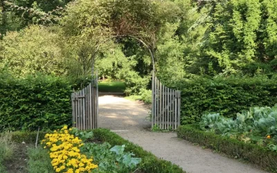 Sortir de chez soi : un jardin par semaine pendant 1 an