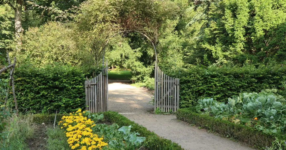 sortir-de-chez-soi-jardin-hero Porte d'entrée d'un jardin invitation à sortir de chez soi