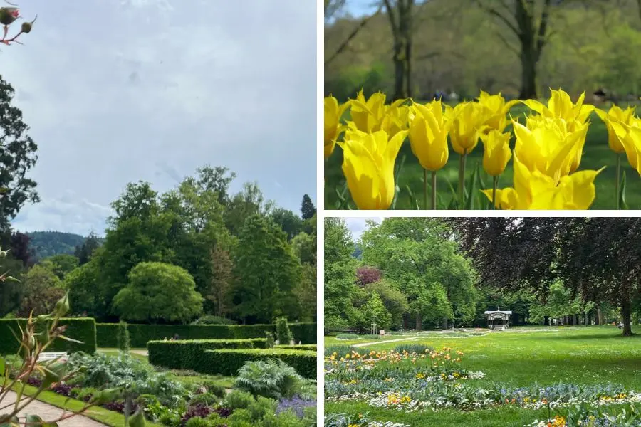Escapade florale à Baden-Baden début mai, après les tulipes, les roses mi-mai en bouton à Baden-Baden