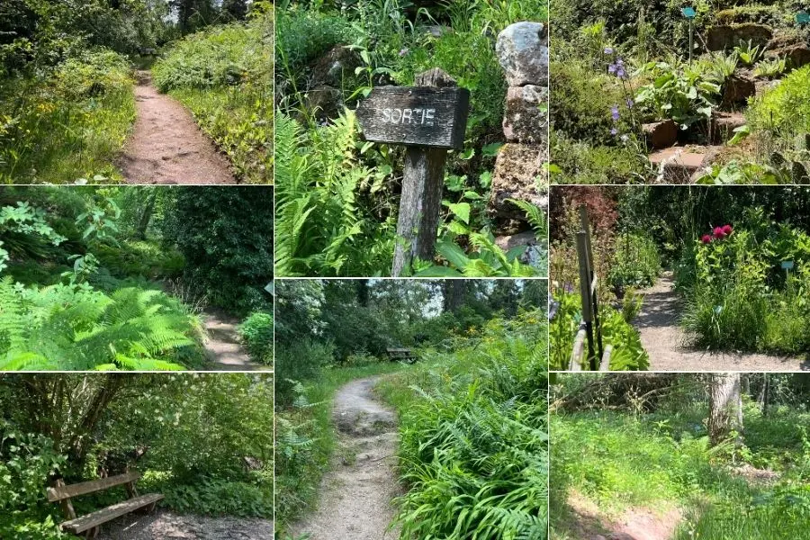 allées pour decouvrir ce jardin botanique du col de Saverne, peu accessible pour personnes à mobilité réduite, difficile en déambulateur 